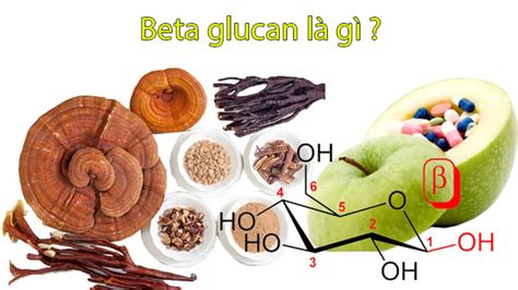 what does beta glucan do|Beta.